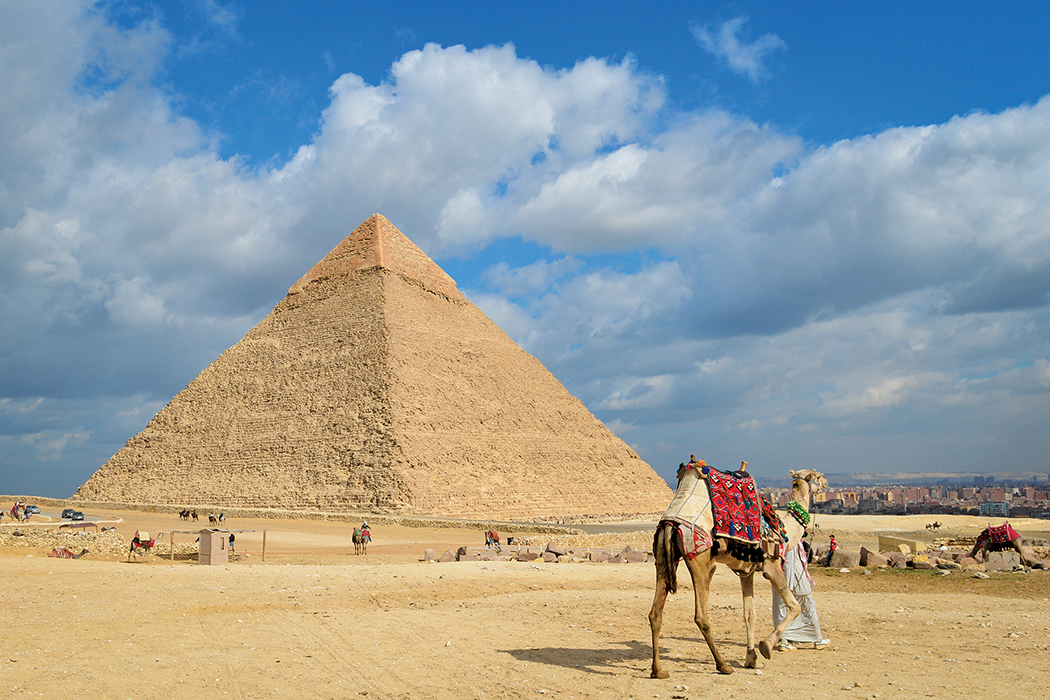 Camel in front of pyramid in Egypt 